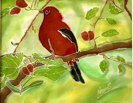 RED SPRING BIRD